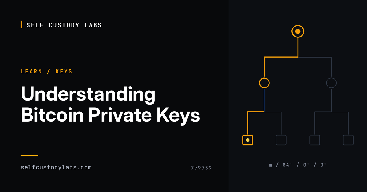 Bitcoin Private Key Programming Script Understanding Bitcoin Private Keys | Self Custody Labs