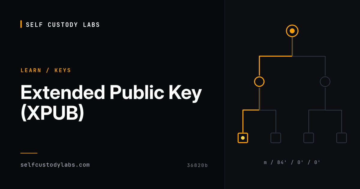 Extended Public Key (XPUB) | Self Custody Labs